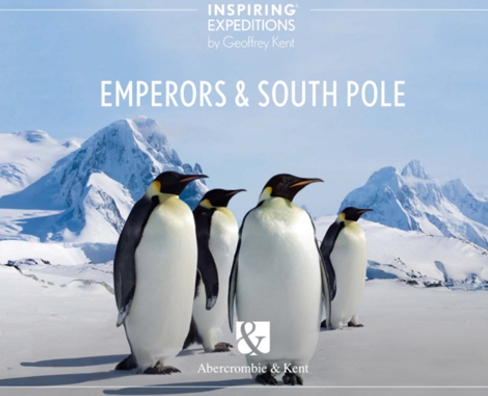 Emperors & South Pole